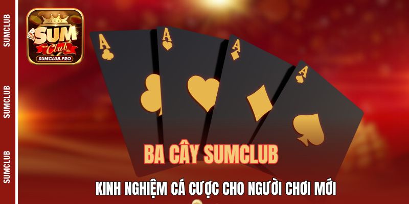 Ba Cây Sumclub - Kinh Nghiệm Cá Cược Cho Người Chơi Mới