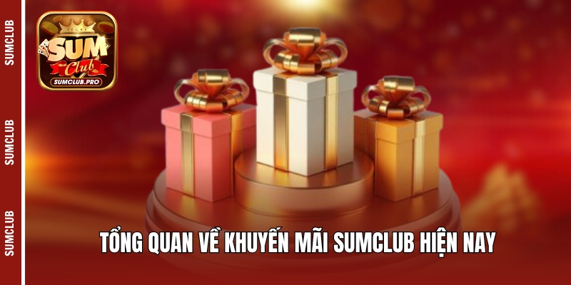 Tổng quan về khuyến mãi Sumclub hiện nay
